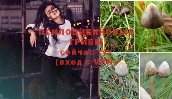 mix Алексин