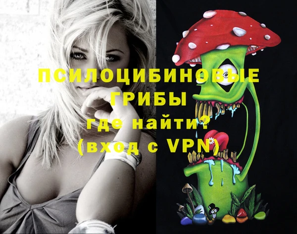 ешки Алексеевка