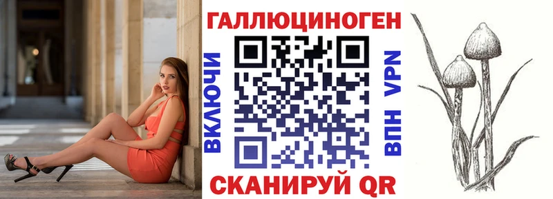 где купить наркоту  Лениногорск  Галлюциногенные грибы GOLDEN TEACHER 