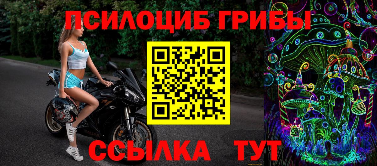 Лениногорск  Галлюциногенные грибы Cubensis  Галлюциногенные грибы Psilocybine cubensis  Вход с VPN 